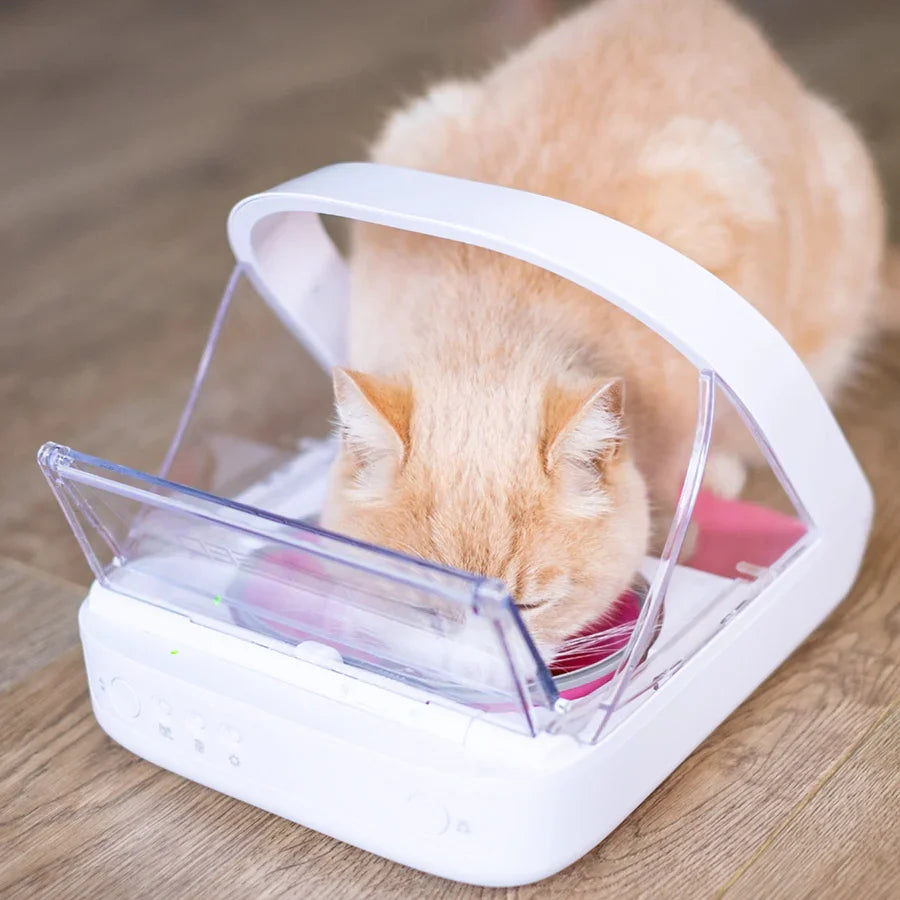 SureFeed Microchip Pet Feeder Bowl for Cats & Small Dogs – Selective Feeding Access